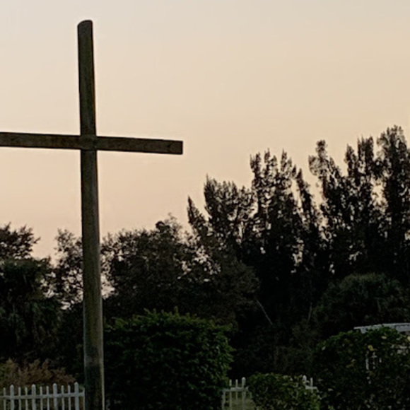 Meet your Posher, Sharon - Picture 1 of 1